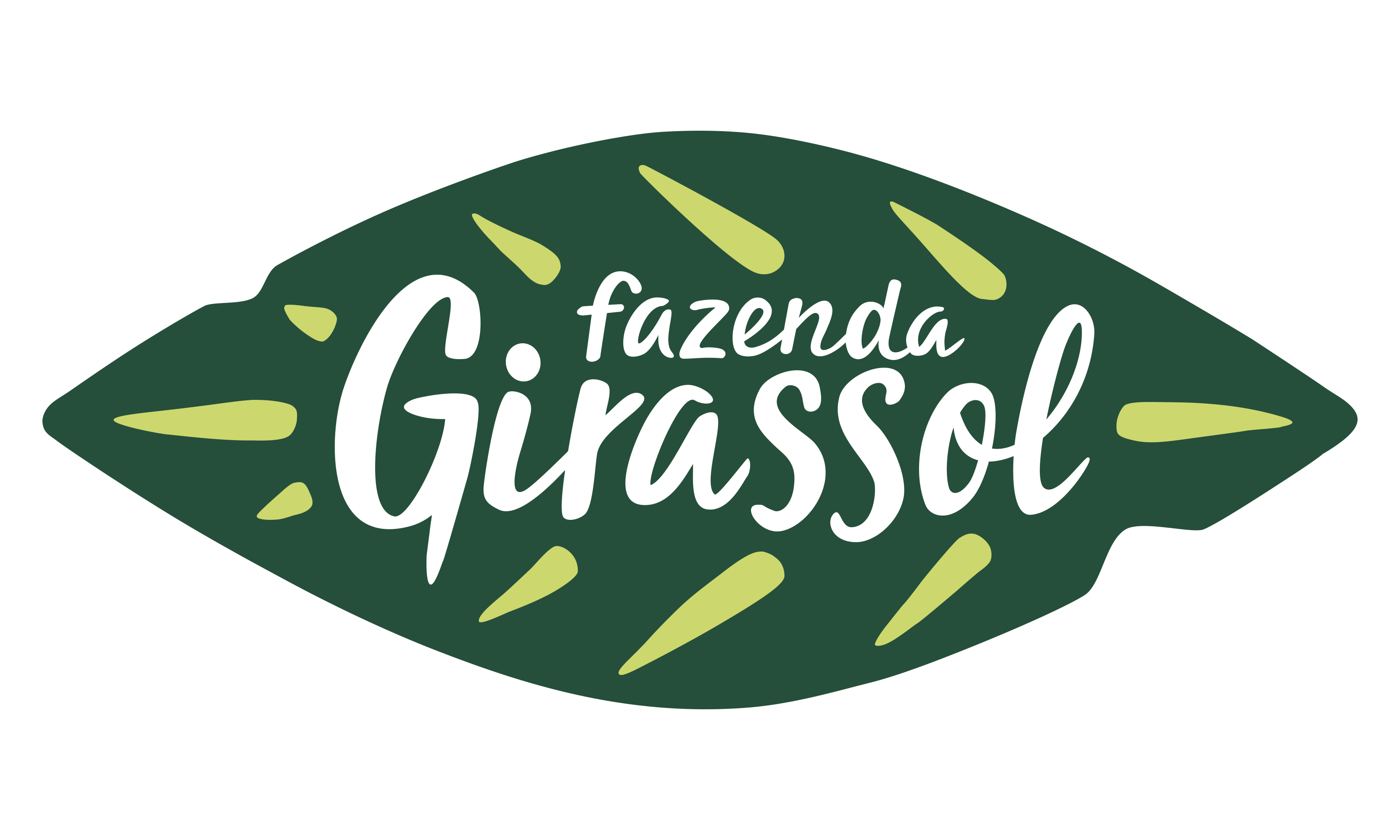 Logo Fazenda Girassol